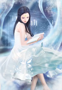 正气寻妇录