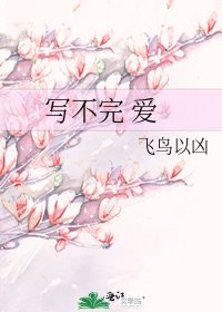 写不完 爱